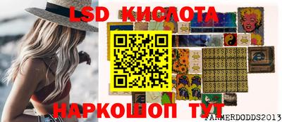 прущие крисы Аргун