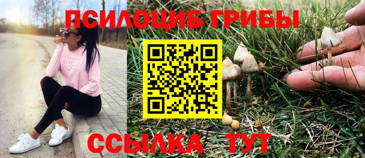 Галлюциногенные грибы мицелий Ачинск
